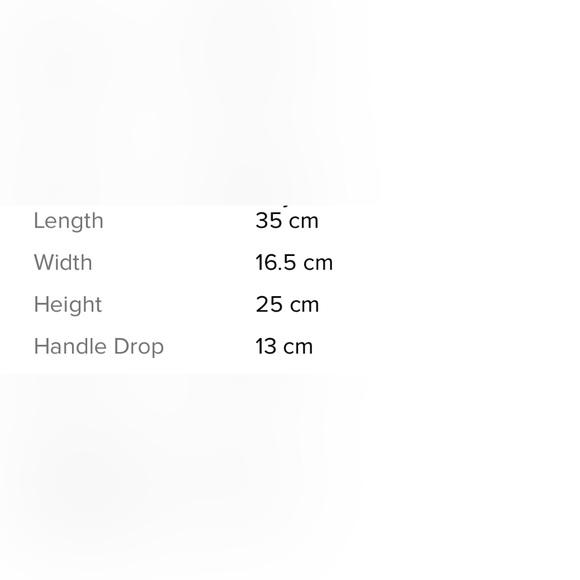 💯% AUTHENTIC YSL Vanity Bowler Bag - Picture 9 of 9